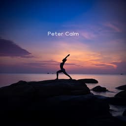 The Clear Sky of Awareness - Peter Calm