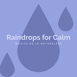 Raindrops for Calm - Música de la Naturaleza