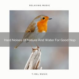 Hard Noises Of Nature And Water For Good Nap - The Noise Project