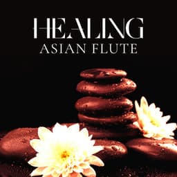 Healing Eastern Woodwinds - Ann Matia