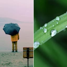 Breathtaking Background for Rainy Aprils - French Cafe Jazz Society