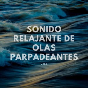 Sonido relajante de olas parpadeantes Vol.1 - Arena de olas