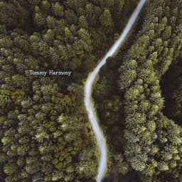 Thinkspace - Tommy Harmony