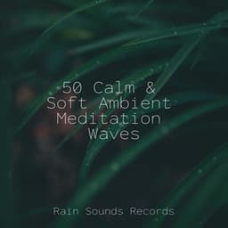 50 Calm & Soft Ambient Meditation Waves - Massage Therapy Music