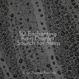 50 Enchanting Rain Droplet Sounds for Sleep - Sonidos De Truenos y Lluvia