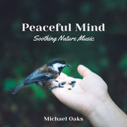 Peaceful Mind - Michael Oaks