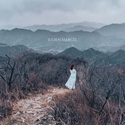 Clairière des Âmes Silencieuses - Julien Marcel