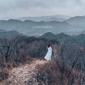 Clairière des Âmes Silencieuses - Julien Marcel