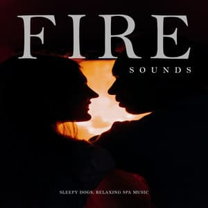 Fire Sounds - Sleepy Dogs