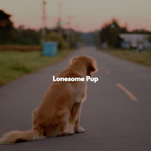 Lonesome Pup - Working from Home Music