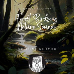 Forest Birdsong Nature Sounds - Relaxing Kalimba - Forest Kalimba