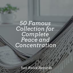 50 Famous Collection for Complete Peace and Concentration - Spa Relaxation & Spa