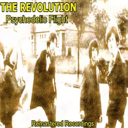 Psychedelic Flight - The Revolution