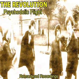 Psychedelic Flight - The Revolution