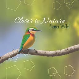 Closer to Nature: Relaxing Music for Stress Relief, Forest Birdsong Nature Sounds, Deep Healing Music for The Body - Sara Wild