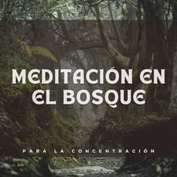 Meditación en el Bosque para la Concentración - Siente la naturaleza