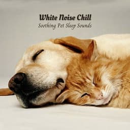 White Noise Chill: Soothing Pet Sleep Sounds - White Noise Sleep Sounds