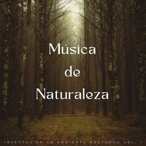 Música De Naturaleza: Insectos En Un Ambiente Nocturno Vol. 1 - Naturaleza del Himalaya