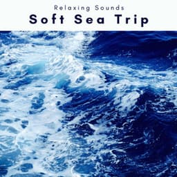 1 Soft Sea Trip - Sea of Noise
