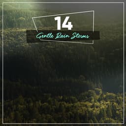 14 Meditation Rain Tracks for Mindfulness - Deep Rain Sampling