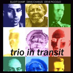 Trio in Transit - Elliott Sharp