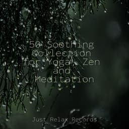 50 Soothing Collection for Yoga, Zen and Meditation - Natural Sounds
