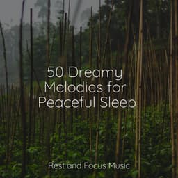 50 Dreamy Melodies for Peaceful Sleep - Deep Focus
