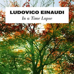 In A Time Lapse - Ludovico Einaudi