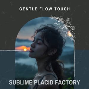 Gentle Flow Touch - Sublime Placid Factory