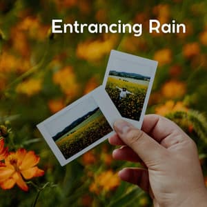 Entrancing Rain - Rain Sounds ACE