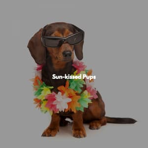 Sun-kissed Pups - Easy Jazz Music