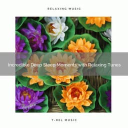 2020 Best: Incredible Deep Sleep Moments with Relaxing Tunes - Serenity Music Academy