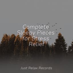 Complete Sleepy Pieces for Stress Relief - Musica para Dormir Dream House