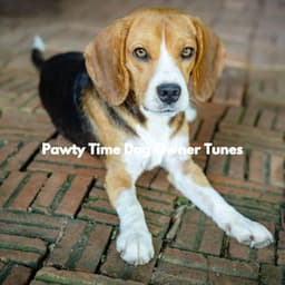 Pawty Time Dog Owner Tunes - Sleepy Dogs