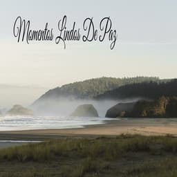 Momentos Lindos De Paz - Música Relajante