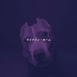 ケイナイン・カーム - Light Jazz & Coffee