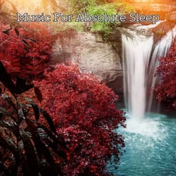 Sleep With Nature Music - Music For Absolute Sleep