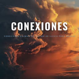 Conexiones Calmantes: Retiro De Lluvia Para Masaje - Terapia de lluvia