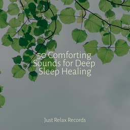 50 Comforting Sounds for Deep Sleep Healing - Japanese Relaxation and Meditation