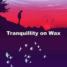 Tranquillity on Wax - Study Music Library