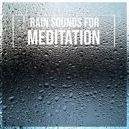 14 Rain Reflection Sounds for Guided Meditation - Lullaby Rain
