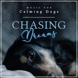 Chasing Dreams - Music for Calming Dogs