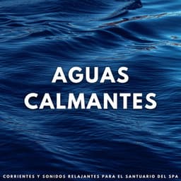 Aguas Calmantes: Corrientes Y Sonidos Relajantes Para El Santuario Del Spa - Sonidos de agua para spa