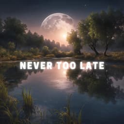 Never Too Late - Alpha Vectoriam