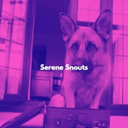 Serene Snouts - Chilled Morning Music