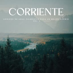 Corriente: Sonidos De Agua Calmantes Para Un Mejor Dormir Vol. 1 - Corrientes de sueños