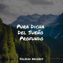 Pura Dicha Del Sueño Profundo - Lluvia