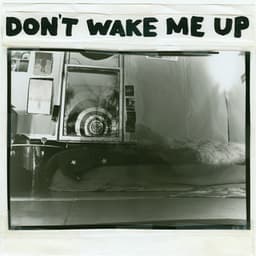 Don't Wake Me Up - The Microphones
