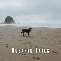 Oceanic Tails: Theta Waves with Binaural Dog Symphonies - Waveframe