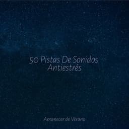 50 Pistas De Sonidos Antiestrés - Canciones de Cuna para Bebés Acadèmico